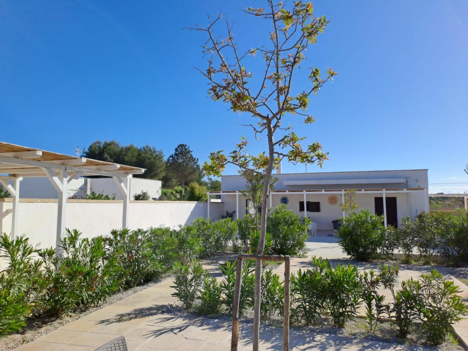 La Tana Dell Upupa Nel Salento Hotell Torre Squillace Exteriör bild