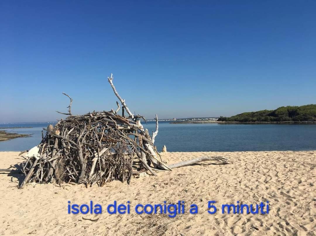 La Tana Dell Upupa Nel Salento Hotell Torre Squillace Exteriör bild